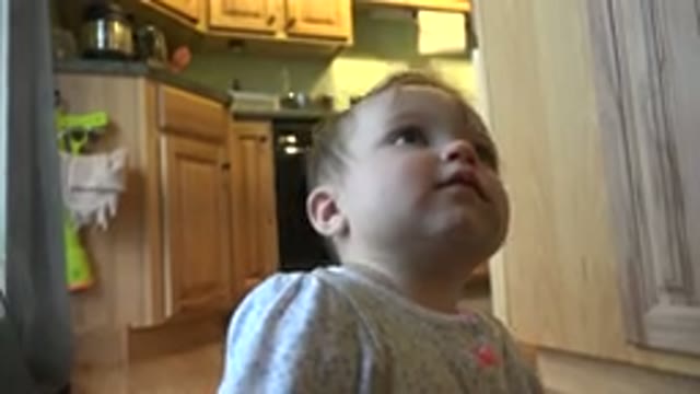 WESTMINSTER COLORADO-2015: Wondering Baby Enjoying Its Time Watching And Living