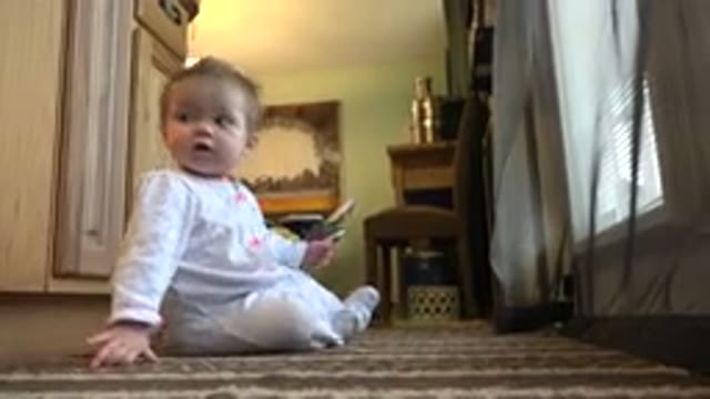 WESTMINSTER COLORADO-2015: Baby Sitting On The Floor Looking Around Confusedly