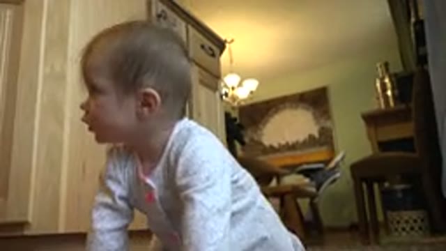 WESTMINSTER COLORADO-2015: Baby Crawling Freely in the House Towards Something