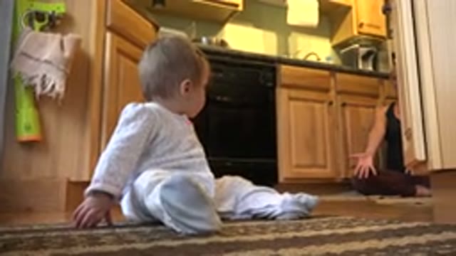 WESTMINSTER COLORADO-2015: Listening To Mommy's Voice