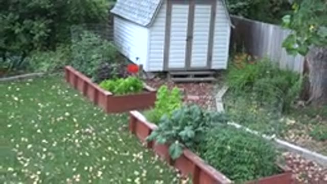 WESTMINSTER COLORADO-2015: The Backyard Of A Residential House With Flowers And Grass