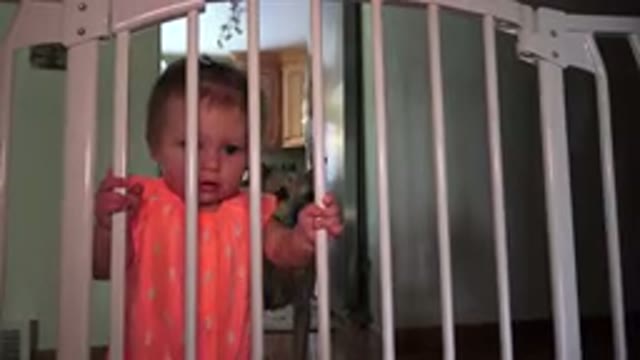 BROOMFIELD COLORADO-2015: Baby, Dog, and Young Girl on Bed in Home Video