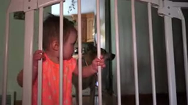 BROOMFIELD COLORADO-2015: Child and Dog Playfully Trying to Escape