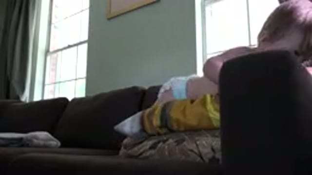 WESTMINSTER COLORADO-2015: Playful Baby Tries To Climb A Sofa While Careful
