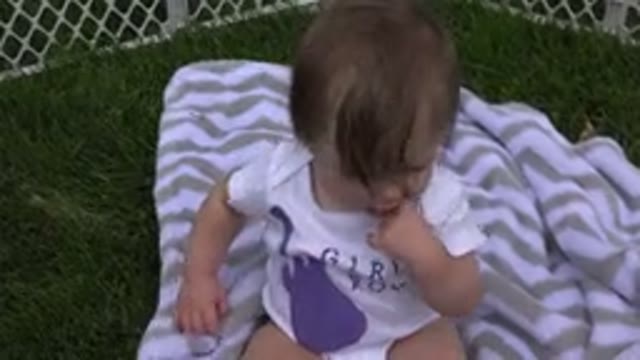WESTMINSTER COLORADO-2015: Innocent Curious Baby Enjoys Playtime in the Yard