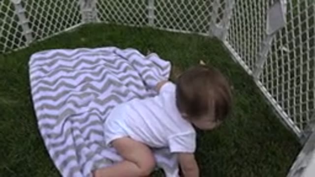 WESTMINSTER COLORADO-2015: The Inquisitive Mind Of A Baby Explores The Play In