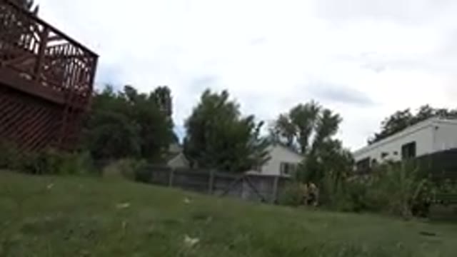 WESTMINSTER COLORADO-2015: Baby In A Yard Sitting On Grass And Playing