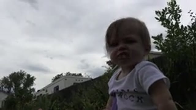 WESTMINSTER COLORADO-2015: Cheeky Baby Rejects Petting From Parent While Eating