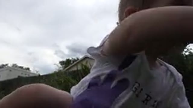 WESTMINSTER COLORADO-2015: A Blonde Female Toddler Wearing a White T-Shirt Plays