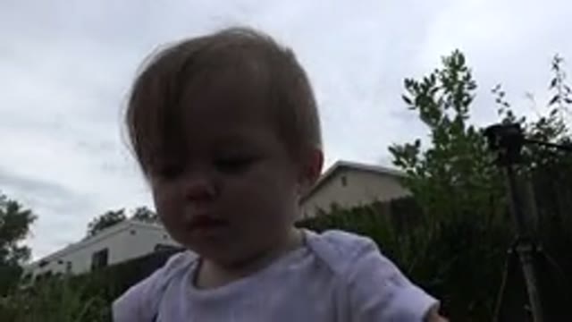 WESTMINSTER COLORADO-2015: Baby Girl Plays With Camera And Dog