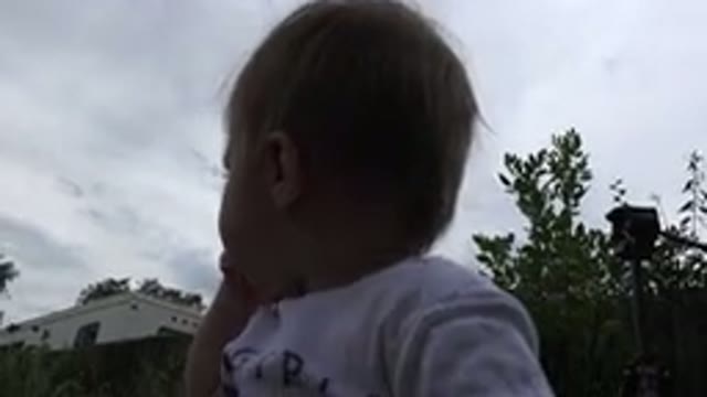 WESTMINSTER COLORADO-2015: Baby Looking At The Sky And Crawling On Grass In A Backyard