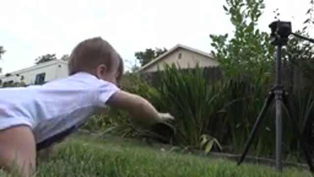WESTMINSTER COLORADO-2015: Baby Crawling On The Grass Next To A Camera During