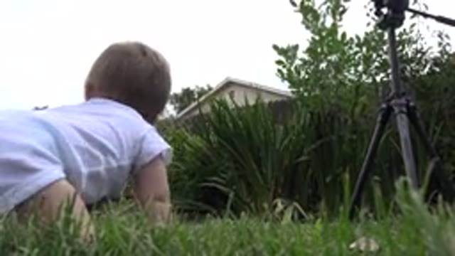 WESTMINSTER COLORADO-2015: Baby Camera Outdoors Grass Day Sunny Green Clouds