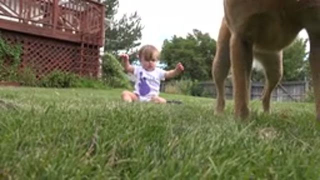 WESTMINSTER COLORADO-2015: Cute Baby Girl Sitting On Grass With Her Pet Dog In