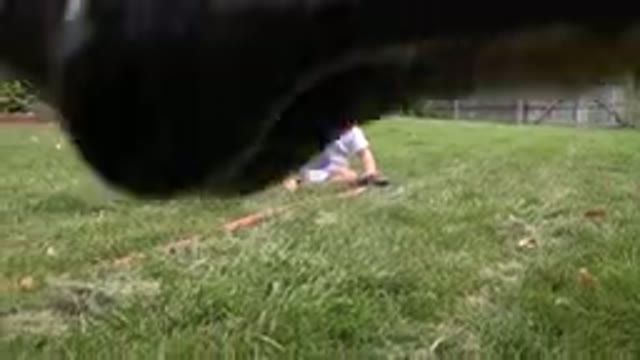 WESTMINSTER COLORADO-2015: Infant Wearing White and Purple Shirt Sits on Green Grass