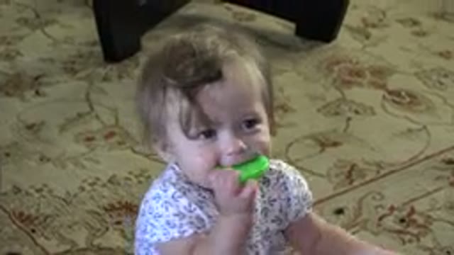 WESTMINSTER COLORADO-2015: Baby Playing With A Green Cap