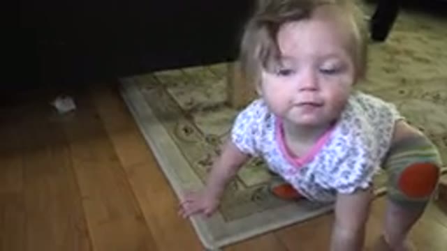 WESTMINSTER COLORADO-2015: Little Baby Crawling Free Room Drooling Smart Happy