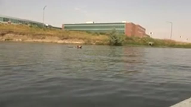 HIDDEN LAKE COLORADO-2015: Dog Has Fun Playing In The Lake With His Owner
