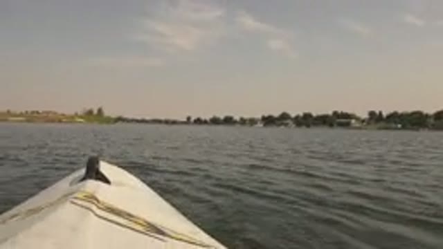 HIDDEN LAKE COLORADO-2015: Rescue Dog Tries To Swim To The Destination