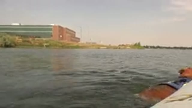 HIDDEN LAKE COLORADO-2015: Big Yellow Dog Swimming In A River And Wearing A Safety Jacket
