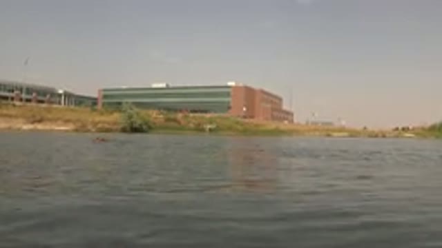 HIDDEN LAKE COLORADO-2015: Funny And Cute Dog Decided To Swim In The City River