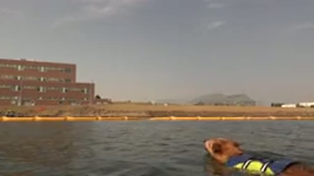 HIDDEN LAKE COLORADO-2015: Dog Swimming In A River On A Sunny Day