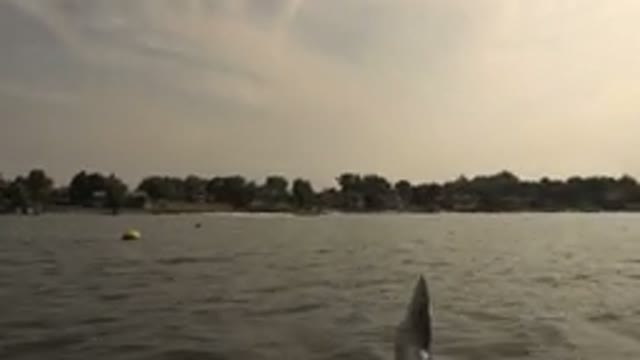 HIDDEN LAKE COLORADO-2015: Canoeing On A Lake Surrounded By Many Trees Before Sunset