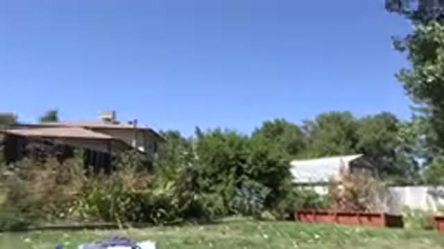 WESTMINSTER COLORADO-2015: Home Back Garden With Woman Sunbathing On The Lawn