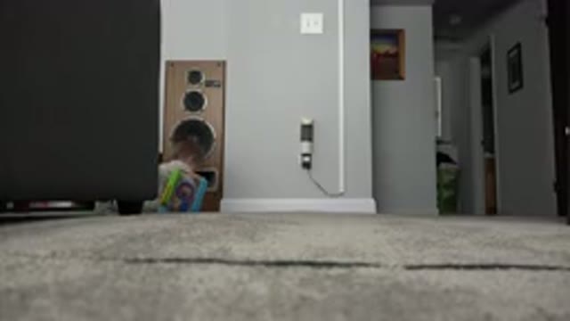 WESTMINSTER COLORADO-2015: Hidden Camera Recording Baby Playing On Floor On