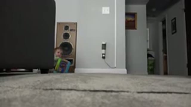 WESTMINSTER COLORADO-2015: Child Playing And Touching Objects In The House That