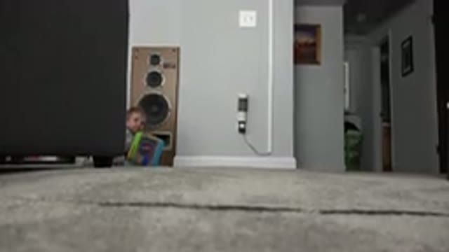 WESTMINSTER COLORADO-2015: Baby On The Floor Caught On Camera