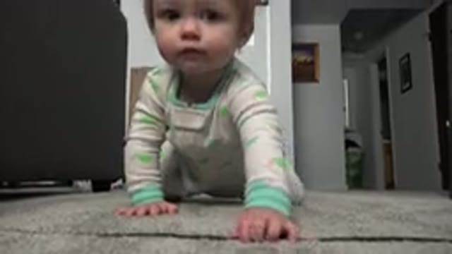 WESTMINSTER COLORADO-2015: Blonde Baby With Blue Eyes In White Pajamas Crawling