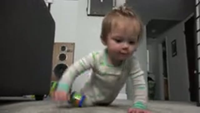 WESTMINSTER COLORADO-2015: A Child With Blonde Hair Crawls Over The Camera And