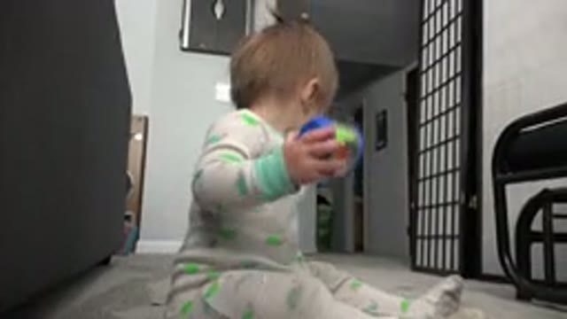 WESTMINSTER COLORADO-2015: Baby Sitting On Floor Playing With Toys