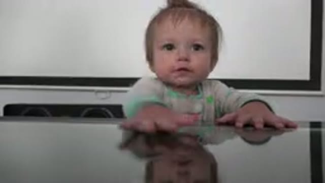 WESTMINSTER COLORADO-2015: Baby Hitting Glass Table Receives Bell to Play
