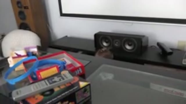 WESTMINSTER COLORADO-2015: Little Baby Girl Playing In The Living Room Of Your