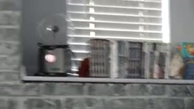WESTMINSTER COLORADO-2015: Camera Zooms In On Random Assortment Of Objects On