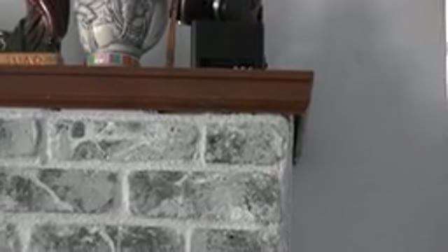 WESTMINSTER COLORADO-2015: Fireplace Window Camera Looking Child Manta Flying