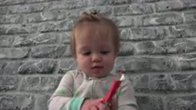WESTMINSTER COLORADO-2015: Baby Having So Much Fun With A Piece Of Paper