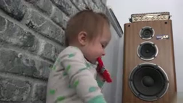 WESTMINSTER COLORADO-2015: Cute Baby With Paperboard Package In His Mouth Near A