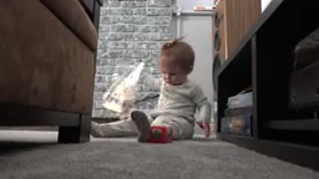 WESTMINSTER COLORADO-2015: Baby Shakes Bag for the First Time