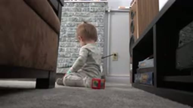 WESTMINSTER COLORADO-2015: The Inquisitive Baby Fiddles With The Packet And Toys