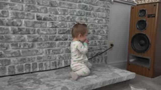 WESTMINSTER COLORADO-2015: Crazy Baby Listens To Music On An Old Speaker For The