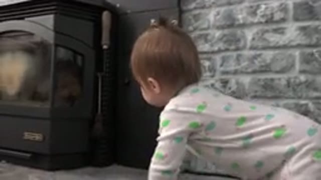 WESTMINSTER COLORADO-2015: Baby Crawling Around The House On The Floor