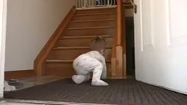 WESTMINSTER COLORADO-2015: Child Has Fun Playing With His Mother Crawling Around