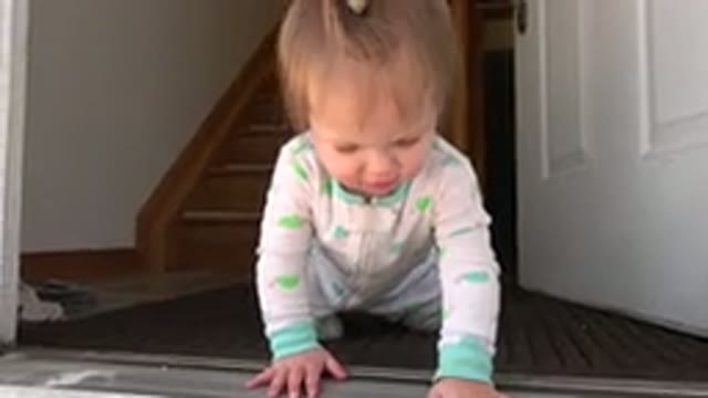WESTMINSTER COLORADO-2015: Curious Baby Laying On Carpet Looking Outside Near Entrance