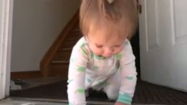 WESTMINSTER COLORADO-2015: Baby Crawling On The Floor
