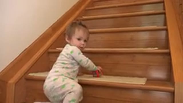 WESTMINSTER COLORADO-2015: Baby Girl Wearing Green Turtle Design Clothes Climbing Stairs