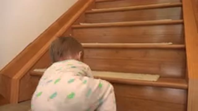 WESTMINSTER COLORADO-2015: Toddler Tries To Climb The Stairs