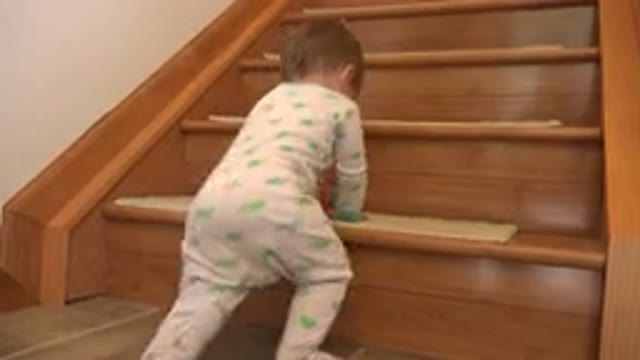 WESTMINSTER COLORADO-2015: Crawl Standing Accomplished Diaper Haircut Baby Proof